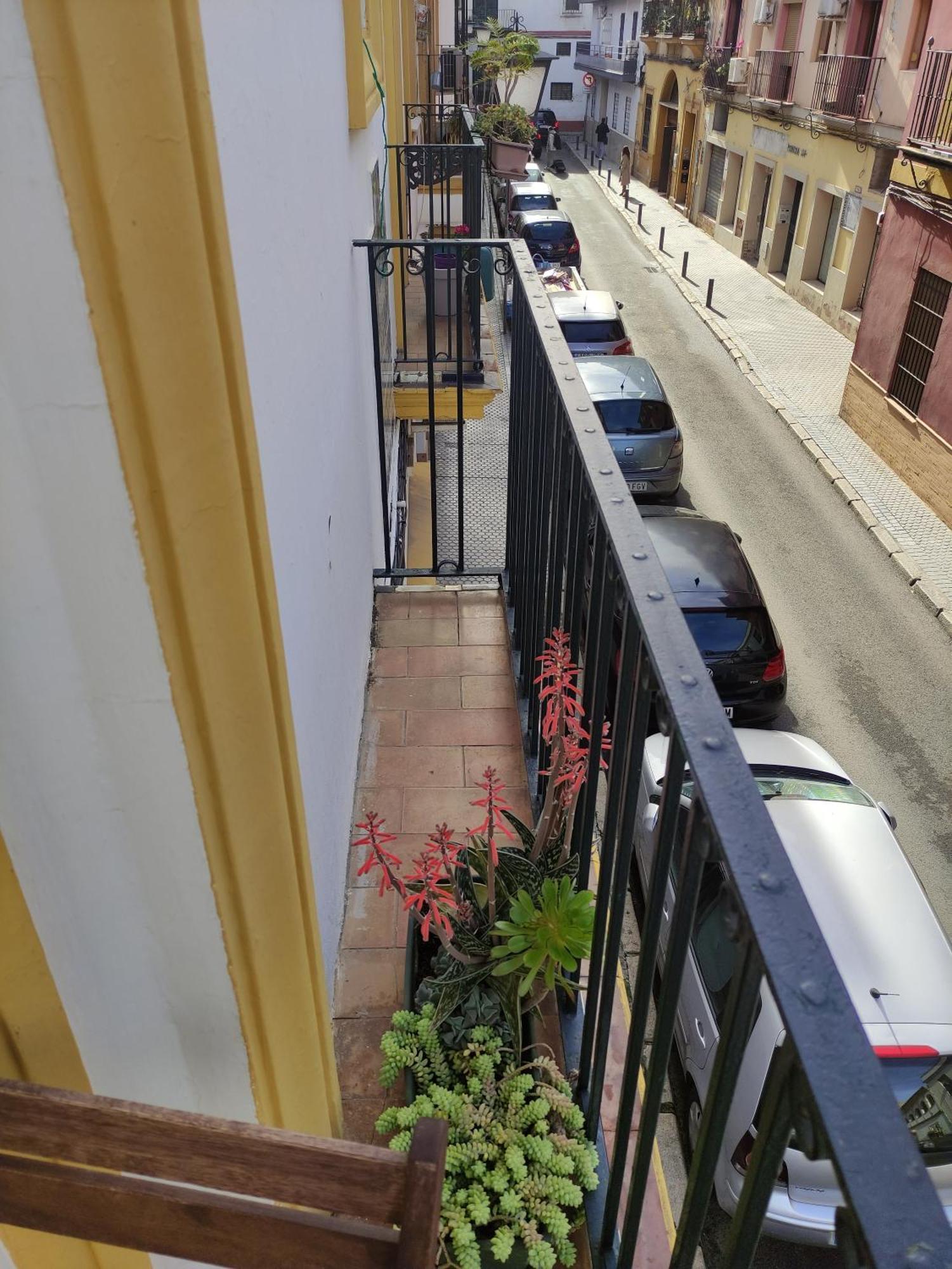 Vive Triana Lägenhet Sevilla Exteriör bild